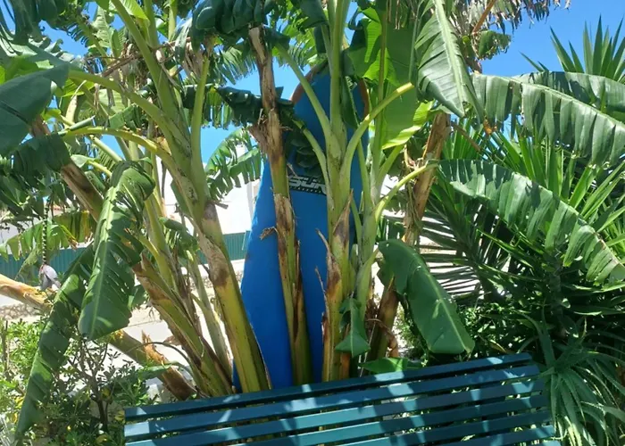 Apartment Su Villa's Ericeira